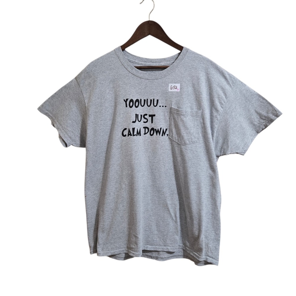 Hanes Comfort Mens T Shirt Size‎ XL Grey Graphic Logo Short Sleeve Crew Neck